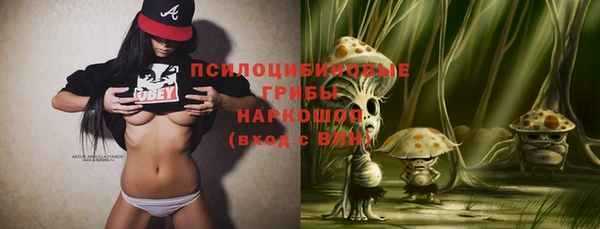 PSILOCYBIN Аркадак