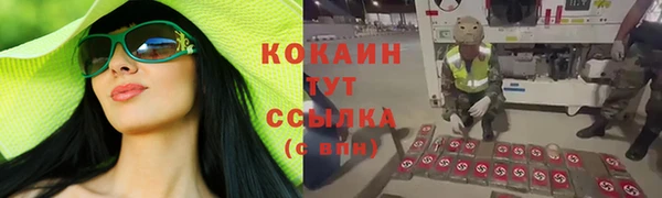 дмт Армянск