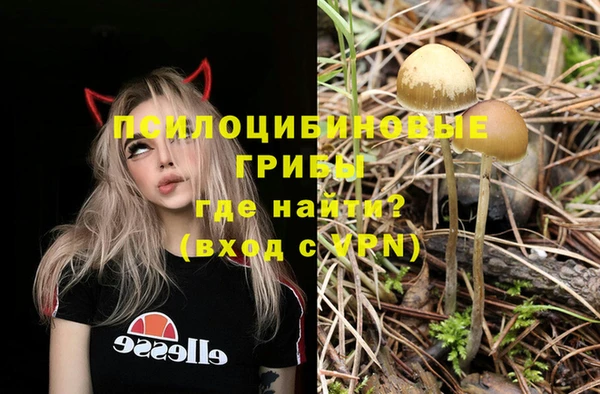 герыч Арсеньев