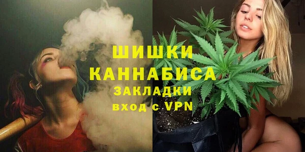 PSILOCYBIN Аркадак
