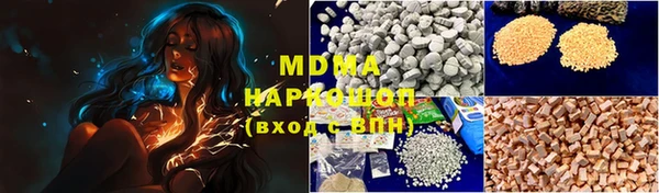 PSILOCYBIN Аркадак