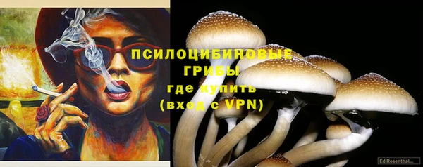 герыч Арсеньев