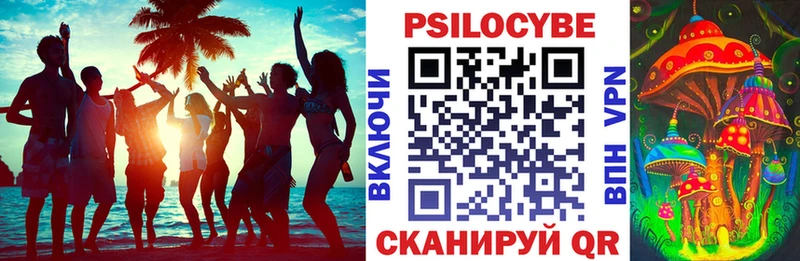 закладки  Суровикино  Галлюциногенные грибы мицелий 