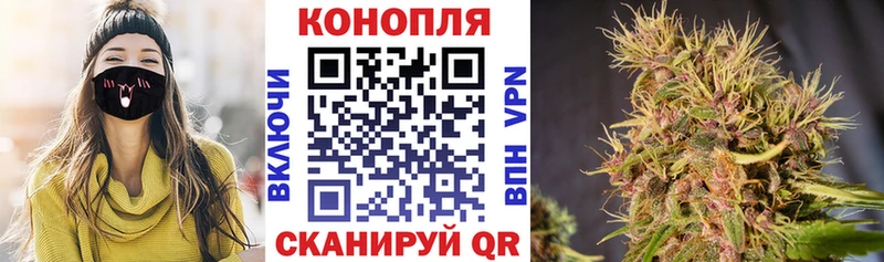 Бошки Шишки марихуана  Суровикино 